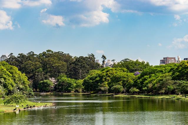 Ibirapuera Park